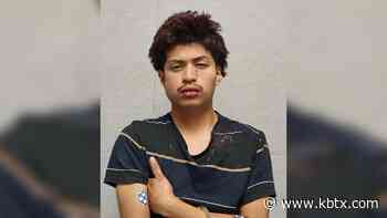 Man intentionally ran car into group of homeless people, killing 1, police say - KBTX