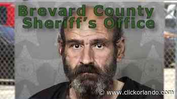 Hit-and-run driver arrested, victim in hospital on ventilator, Melbourne police say - WKMG News 6 & ClickOrlando