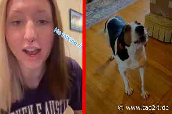 Hund jault Frauchen laut an: Was dann passiert, bringt das Internet zum Brüllen - TAG24