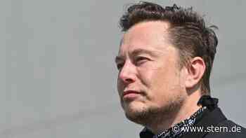 Brasilien: Musk trifft Bolsonaro: Satelliten-Internet für Amazonas - STERN.de