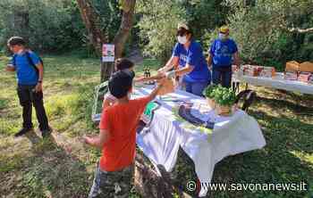 Andora, il 28 maggio torna la merenda nell'oliveta - SavonaNews.it