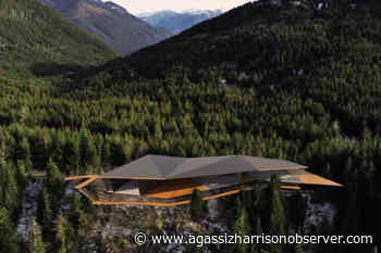 Gondola project near Chilliwack gains 'environmental warrior' to guide planning – Agassiz Harrison Observer - Agassiz Harrison Observer