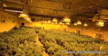 Renfrew OPP provide update on large scale bust with 7600 plants taken - renfrewtoday.ca