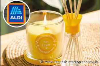 Aldi launches pet candle range to eliminate odour and keep houses fresh for under £3