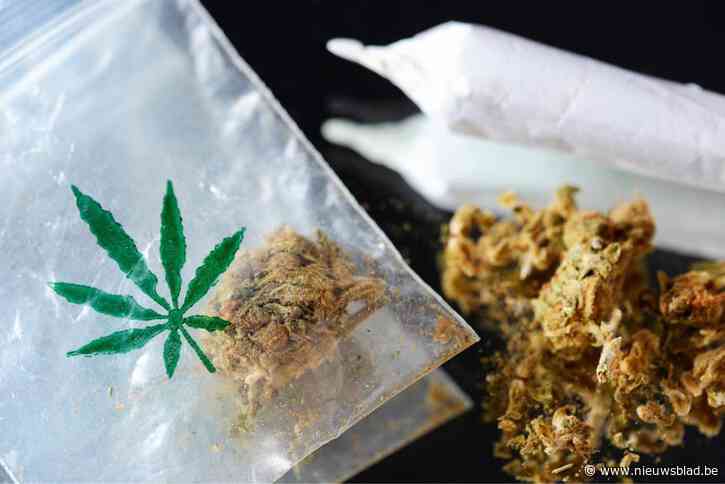 Agenten ontdekken 1.200 cannabisplanten in huis