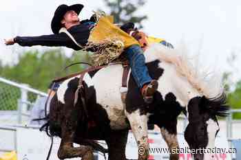 St. Albert Rainmaker is back in the saddle; rodeo returns - St. Albert TODAY