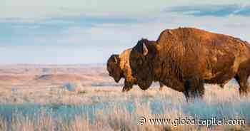 Saskatchewan continues international debt push - GlobalCapital