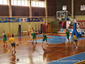 Playoff G1, il Cus Ancona torna a mani vuote da Pescara - - Basketmarche.it