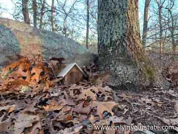 Most People Don’t Know Rhode Island Has A Fairy Trail And It’s Positively Magical - Only In Your State
