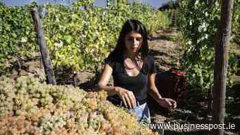 Cathal McBride: It's tempting to stick to your favourite summer wine choices, but here's how you can - Business Post