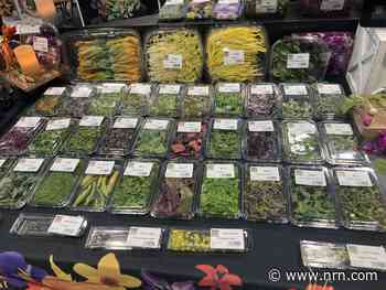 Eight interesting foods at the National Restaurant Show that were not plant-based protein