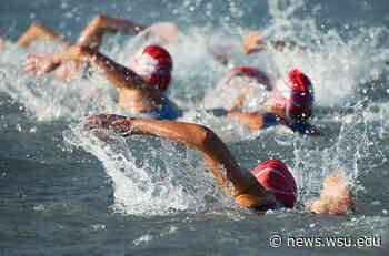 WSU to manage all medical data for World Triathlon and IRONMAN – WSU Insider - WSU News