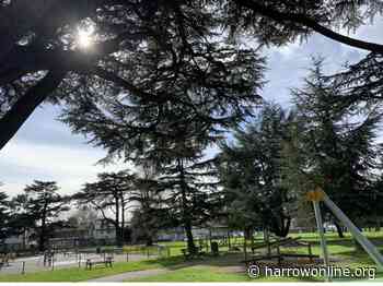 Harrow Council team up with new app to ‘get residents fit and active’ - Harrow Online