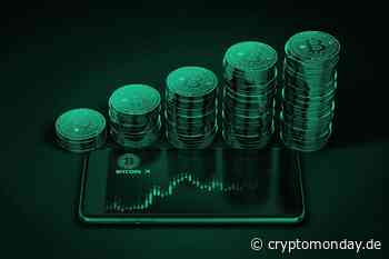 Bitcoin Kurs fällt & Litecoin Kurs (LTC) Update vor Halvening in 35 Tagen - CryptoMonday | Bitcoin & Blockchain News | Community & Meetups