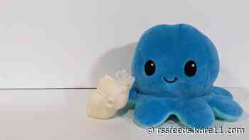 Plush doll with 3D printed heart helping children understand heart disease