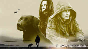 Il Fronte Interno, un'opera prima ricca di soluzioni visive più che interessanti non altrettanto sostenute dalla sceneggiatura - MYmovies.it