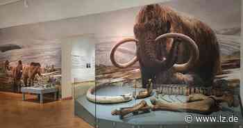 Lippisches Landesmuseum lädt für Sonntag zur Familienführung | Lokale Nachrichten aus Detmold - Lippische Landes-Zeitung