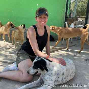 Former resident looking for land near Kimberley to set up animal shelter – Kimberley Daily Bulletin - Kimberley Bulletin