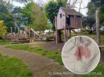 Kimberley Park, Falmouth razor blades found in play area | Falmouth Packet - Falmouth Packet