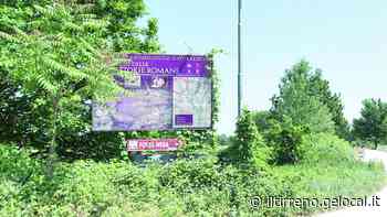 Le cento fattorie romane sotto l’erba alta: «Il progetto è andato a ramengo» - Il Tirreno