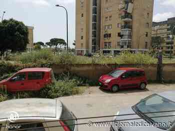 Erba incolta al Parco Verde. Lo sfogo di una cittadina: “Pago la Tari e poi?”… - Il Giornale di Caivano