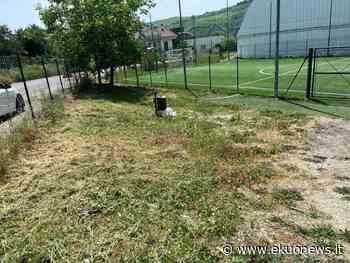 FOTO | Sfalcio erba a Villa Pavone, Corona: lavori eseguiti male - ekuonews.it