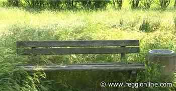 Reggio Emilia: erba alta, quasi inaccessibile il parco di fianco al campo da baseball. VIDEO - Reggionline