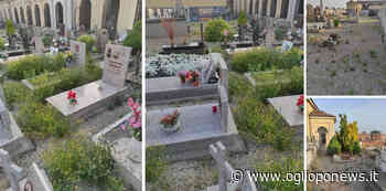 Vicobellignano, erba infestante al cimitero, presto l'intervento - OglioPoNews - OglioPoNews