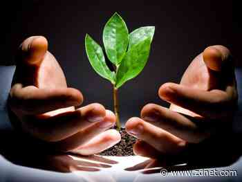 Crane Venture Partners supports open source developers with an itch to scratch