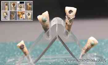 Ancient Mayans stuck gemstones to their teeth to prevent infection and decay, study shows 