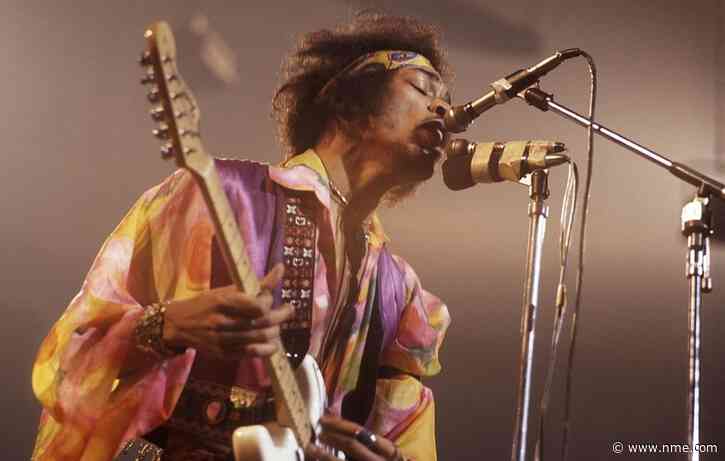 Jimi Hendrix penis cast set to be unveiled at Iceland museum next month