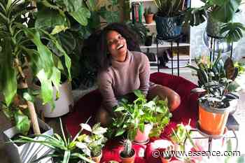 10 Black Plant Moms To Follow On Instagram
