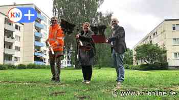 Start in Kiel-Mettenhof: Mit Vonovia-Flatrate ins Internet