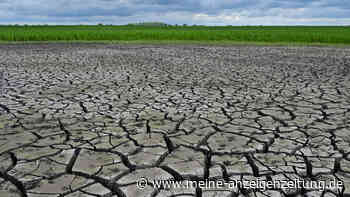 Hitze, Trockenheit, Unwetter: Wie wird der Sommer in Deutschland?