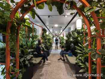 Sisal, a Milano la nuova sede sostenibile e smart