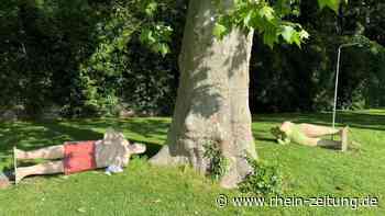 Koblenzer ärgern sich über Vandalismus: „Alltagsmenschen“ umgeworfen und beschmiert - Rhein-Zeitung
