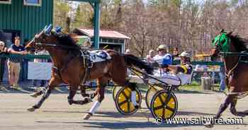 Cape Breton's Mofford captures four victories in harness racing action at Northside Downs - SaltWire CB powered by Cape Breton Post