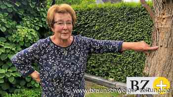 Wenn in Wolfenbüttel Bienen Löcher in Holz bohren