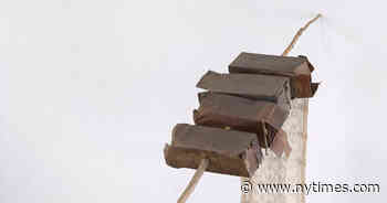 A Rare Look at Rauschenberg’s Second Act