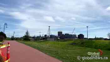 Marigolds and Murals project brings colour to Saint John for 25 years