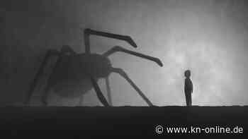 Raus aus dem Kopf, rein ins Bauchgefühl: Wie man Angst im Alltag bezwingen kann