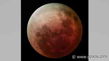Super Flower Blood Moon lunar eclipse glows eerie red in new photo