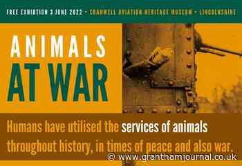 New exhibition honours animals at war - Grantham Journal