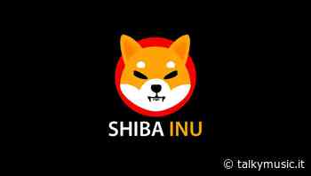 Chi ha acquistato Shiba Inu oggi è stra-ricco: ecco quanto vale - Talky Music