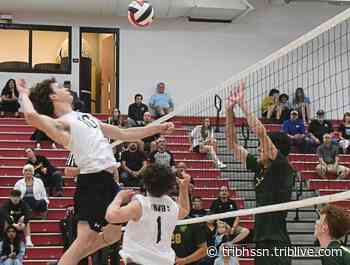 North Allegheny surges past Penn-Trafford to make another trip to WPIAL volleyball finals | Trib HSSN - TribLIVE.com