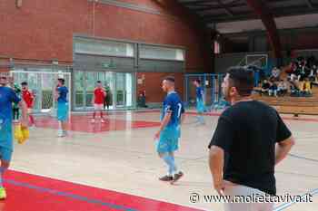 Il Futsal Terlizzi di Nico Cirillo oggi in finale play-off contro il Carovigno - MolfettaViva