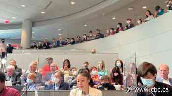 Daughter of Chinatown homicide victim pleads with city councillors to make area safer