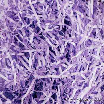 Oakville, Burlington, Halton Hills, Milton residents can shred unwanted papers at fundraiser | inHalton - insauga.com