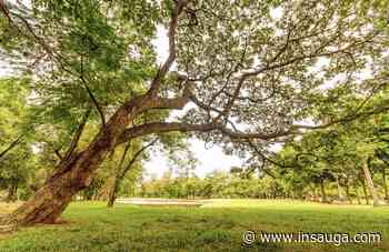 Feedback wanted for design of new park development in Milton | inHalton - insauga.com