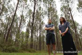 Grand Dax : de la Charente à Téthieu pour le premier accrobranche de l’agglo - Sud Ouest